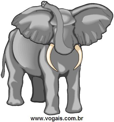 Elefante